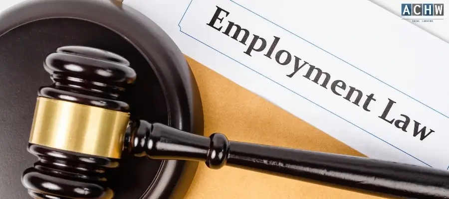 Best Irvine Employment Lawyer